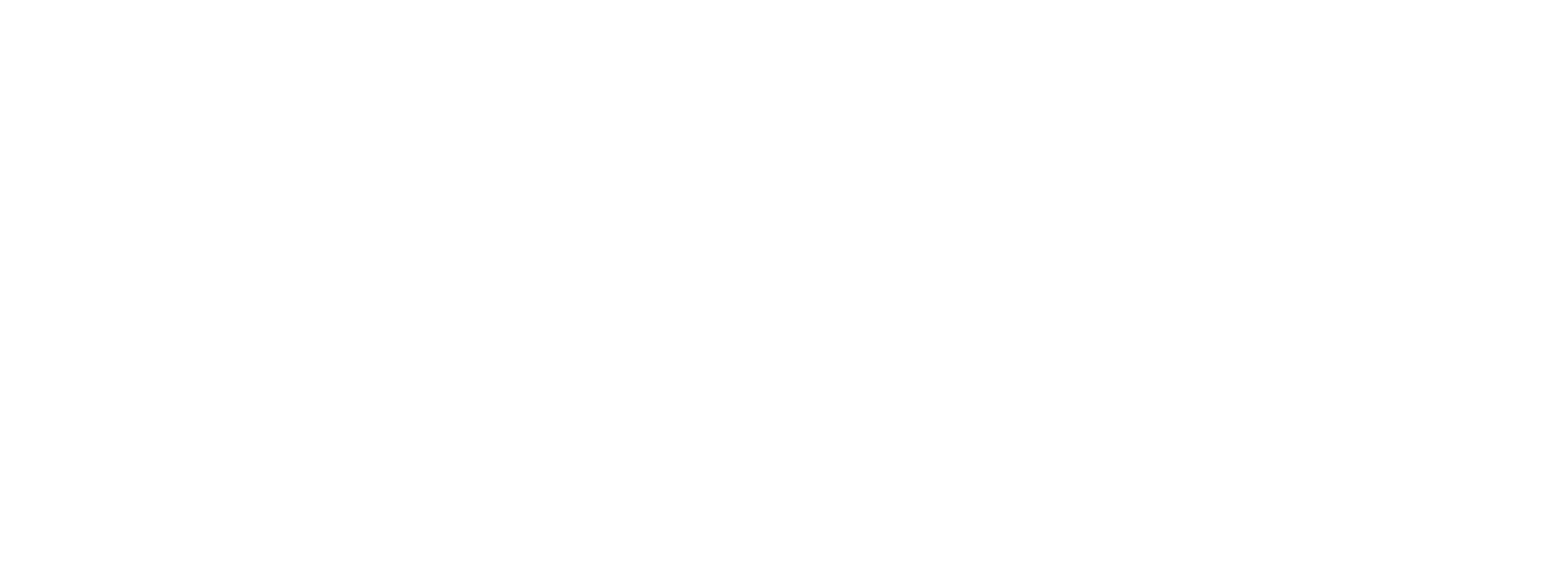 Polyphasic Developers